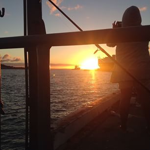  Come to the protest rally today at 3.30 on Queens Wharf opposing the Bledisloe Wharf extensions 