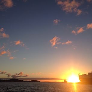  Come to the protest rally today at 3.30 on Queens Wharf opposing the Bledisloe Wharf extensions 