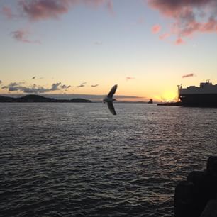  Come to the protest rally today at 3.30 on Queens Wharf opposing the Bledisloe Wharf extensions 