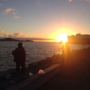  Come to the protest rally today at 3.30 on Queens Wharf opposing the Bledisloe Wharf extensions 